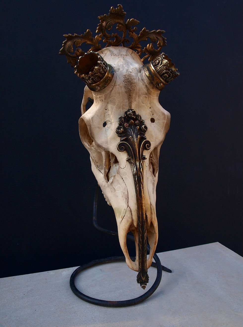 Deer Skull