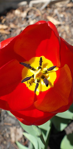 Beautiful & colourful natural nature.