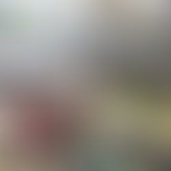 University of Leicester              萊斯特大學