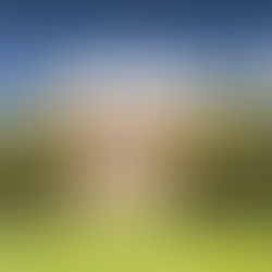 University of Reading                 雷丁大學