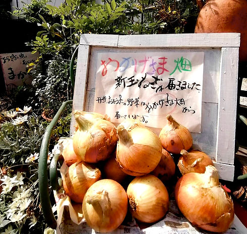 配達・宅配_手作りおかず・お弁当のお店おかげさま
