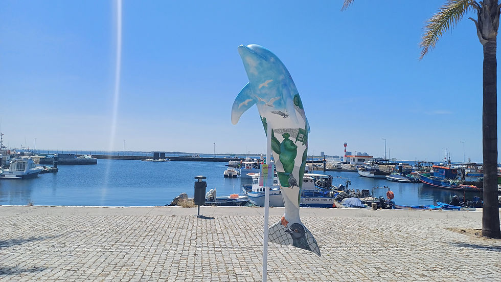 Dolphin parade (2025)