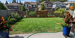 Backyard After (1).jpg
