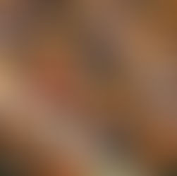 Photojournalism: What’s under the golden man? A look inside the 83rd Oregon Legislative Assembly