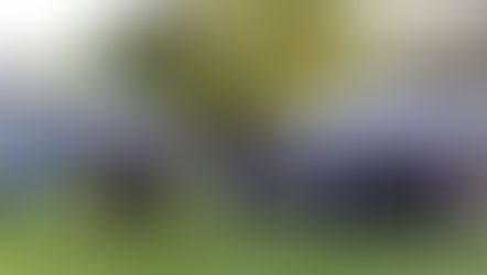 Photojournalism: Renew Sustainable Flea Market