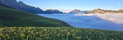 Jiuding Mountain Hiking