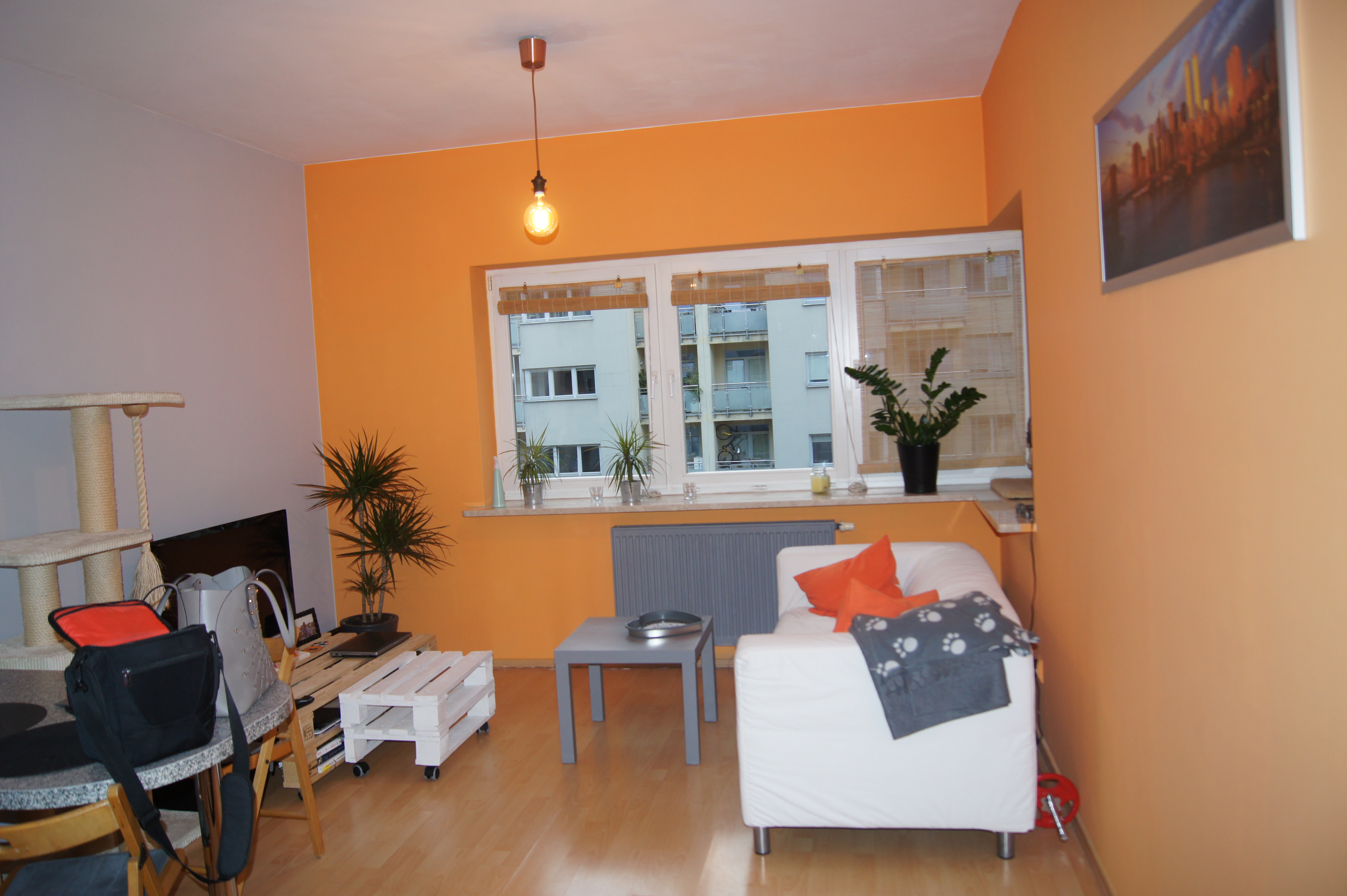 Salon z kuchnią przed aranżacją