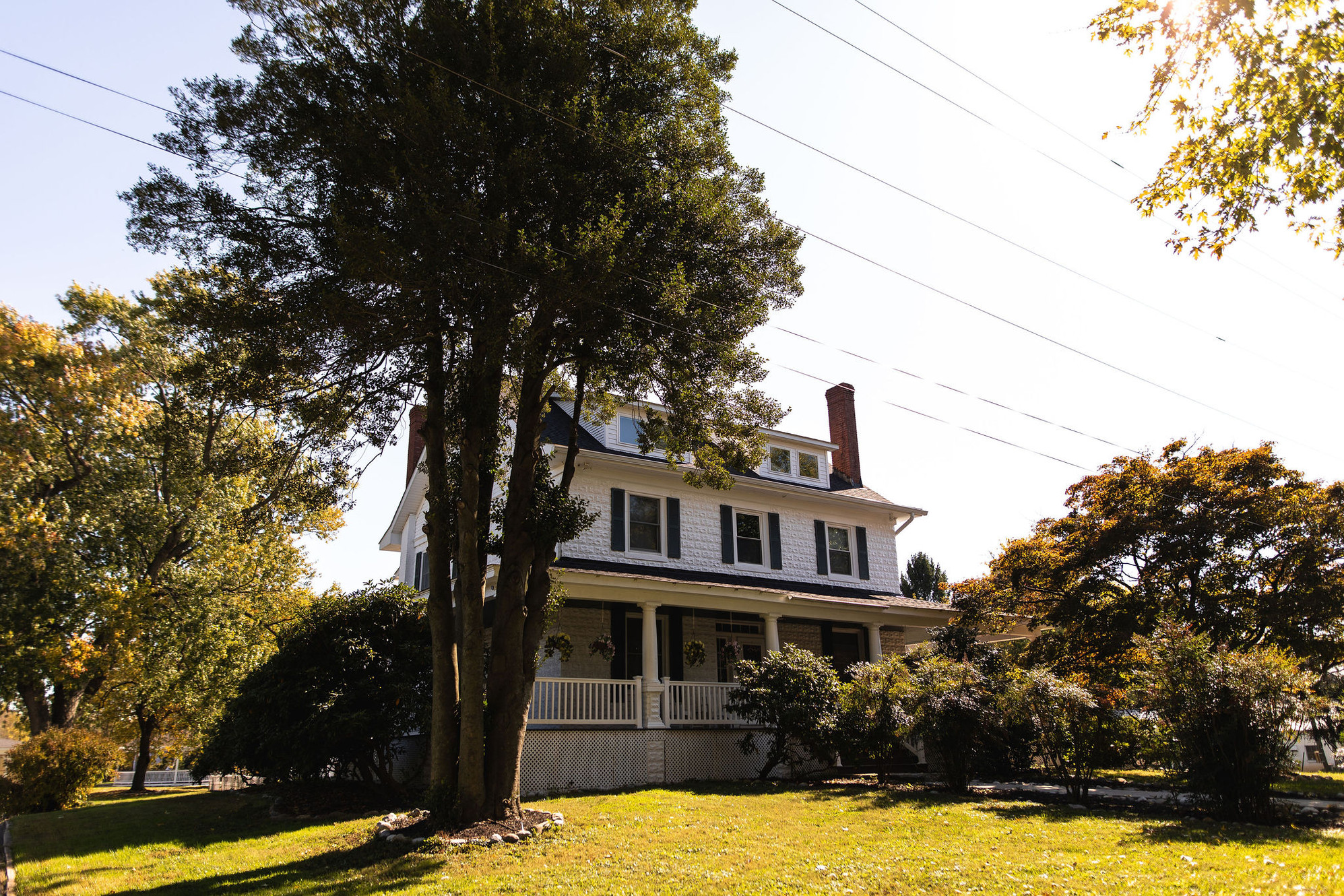 Comus Farm photo