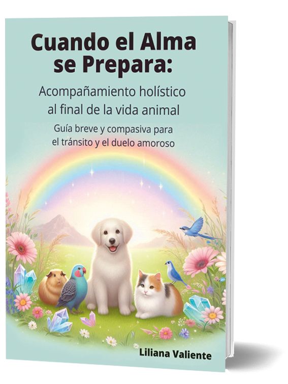 CUANDO EL ALMA SE PREPARA