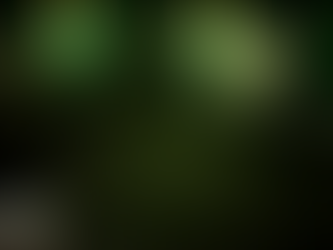 Week 8: Environmental Storytelling