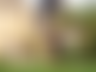 Course de trail de la Vézère Montignac Lascaux