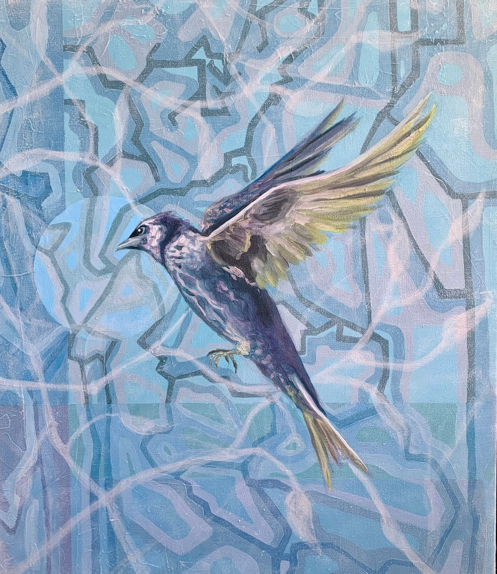 Migration 