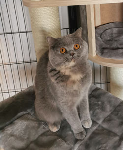 IMG_20230212_143131_edited