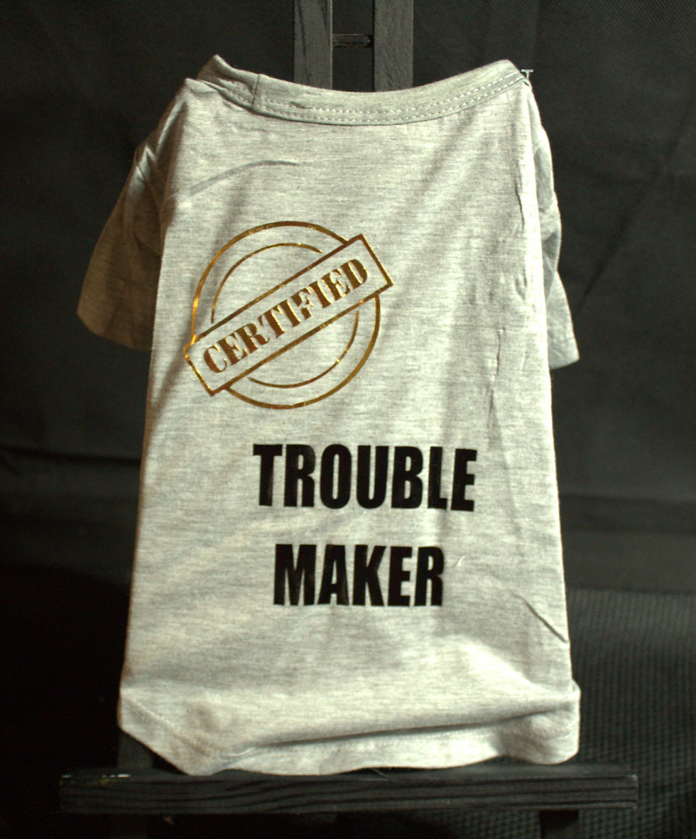 certified trouble maker
