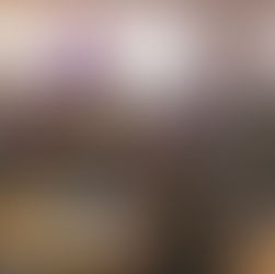 MMSG reúne especialistas para debater os 20 anos da Lei Maria da Penha e os desafios da prevenção à violência contra a mulher