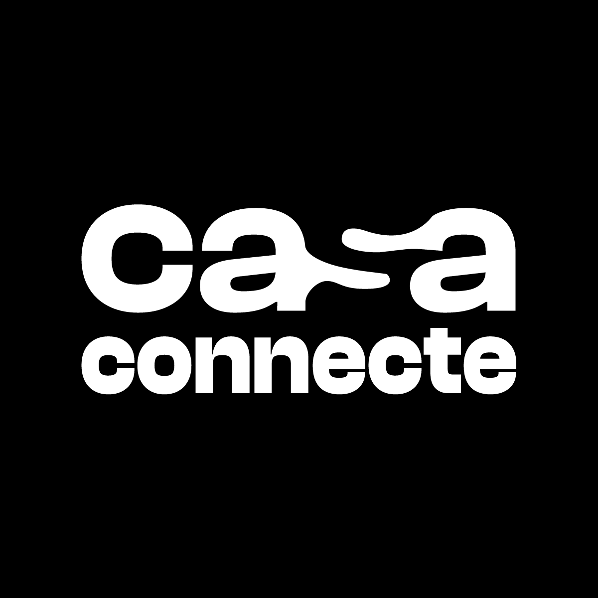 Writer: Agence Casa Connecte