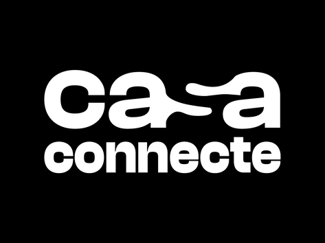 Communications Coordinator Remote Volunteer Opportunity: Agence Casa Connecte (Quebec)