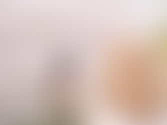 Event Photographer – Try Toronto (Toronto, Ontario)