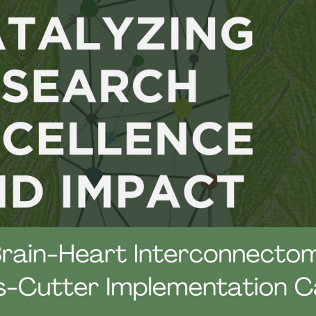 New Publication: The Cross-Cutter Implementation Casebook