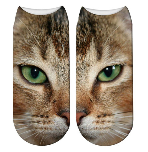 cat trainer socks