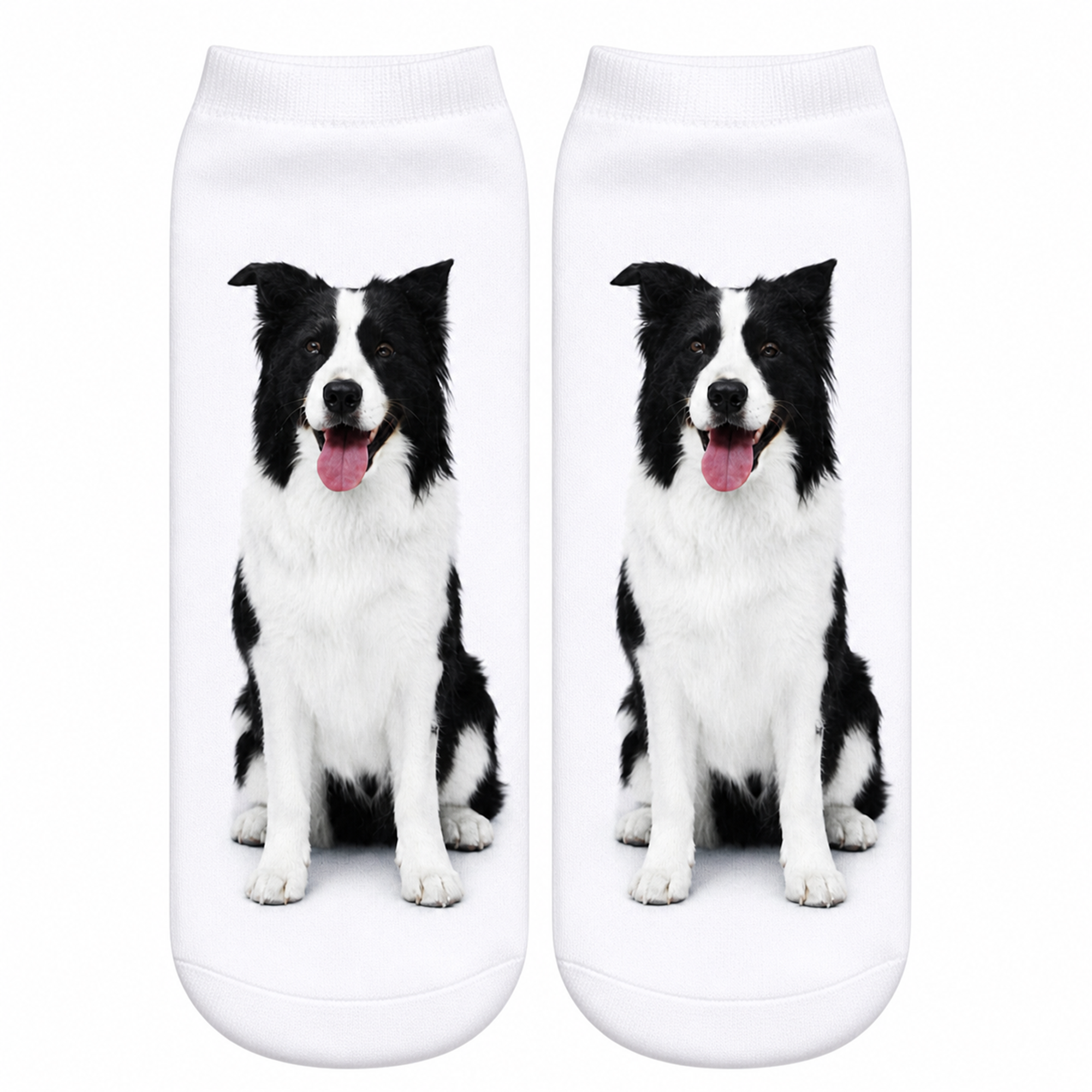 Border Collie Dog Trainer Socks with minimal dog illustration on white background