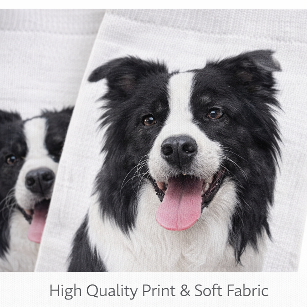 Thumbnail: Close-up of Border Collie dog on Trainer Socks