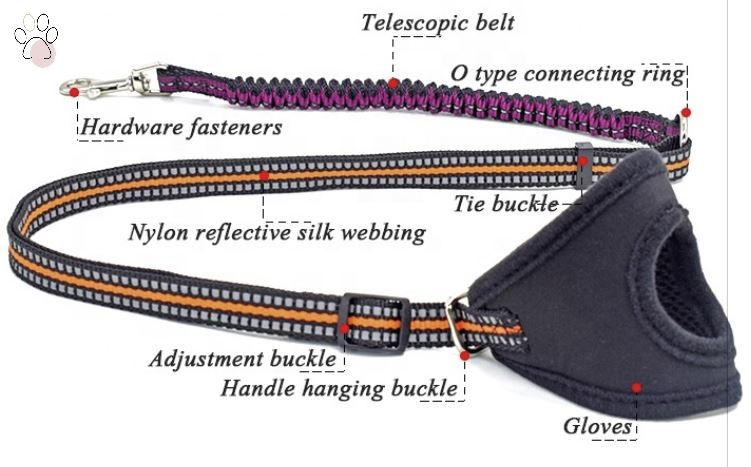 Image of Dog Safety Wrist Strap Lead