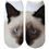 Thumbnail: Image of Cat Print Trainer Socks