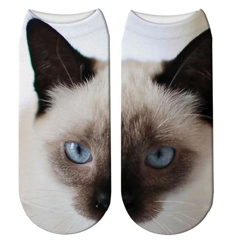cat trainer socks