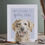 Thumbnail: Image of Wrendale 'Golden Oldie' Retriever Dog Greetings Card