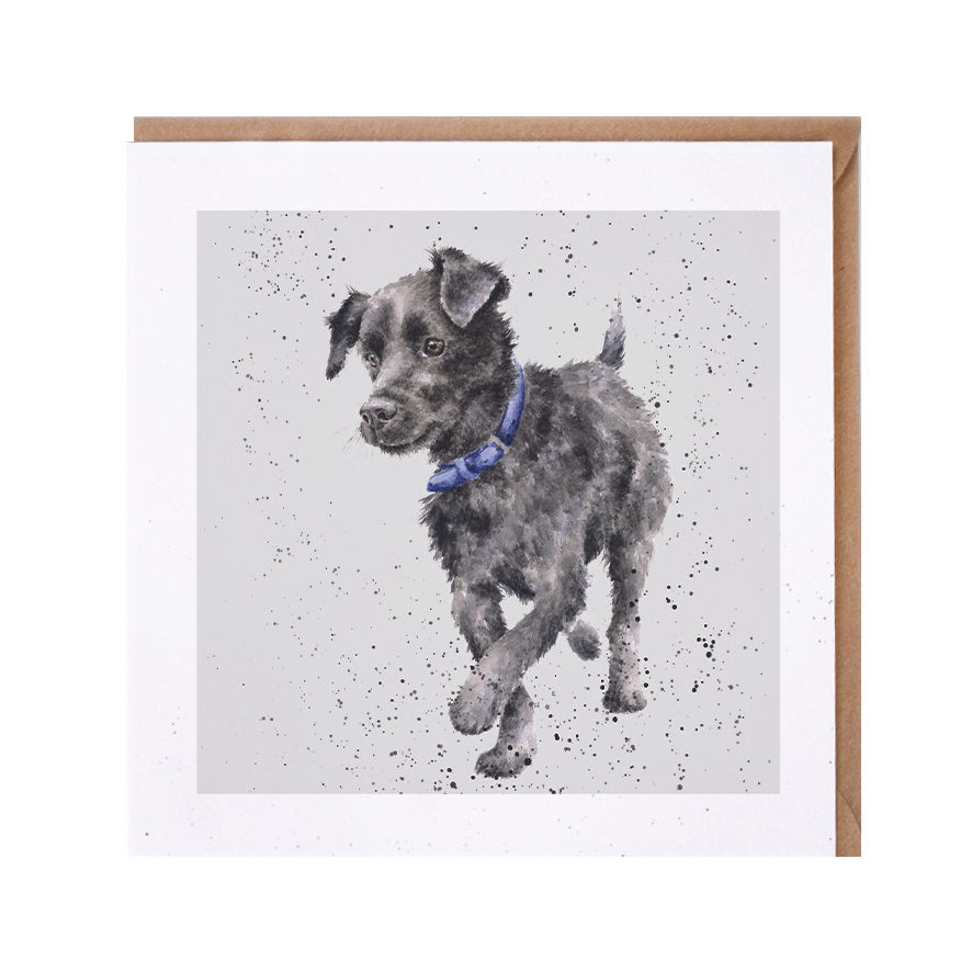 Image of Wrendale Patterdale Dog Greetings Card