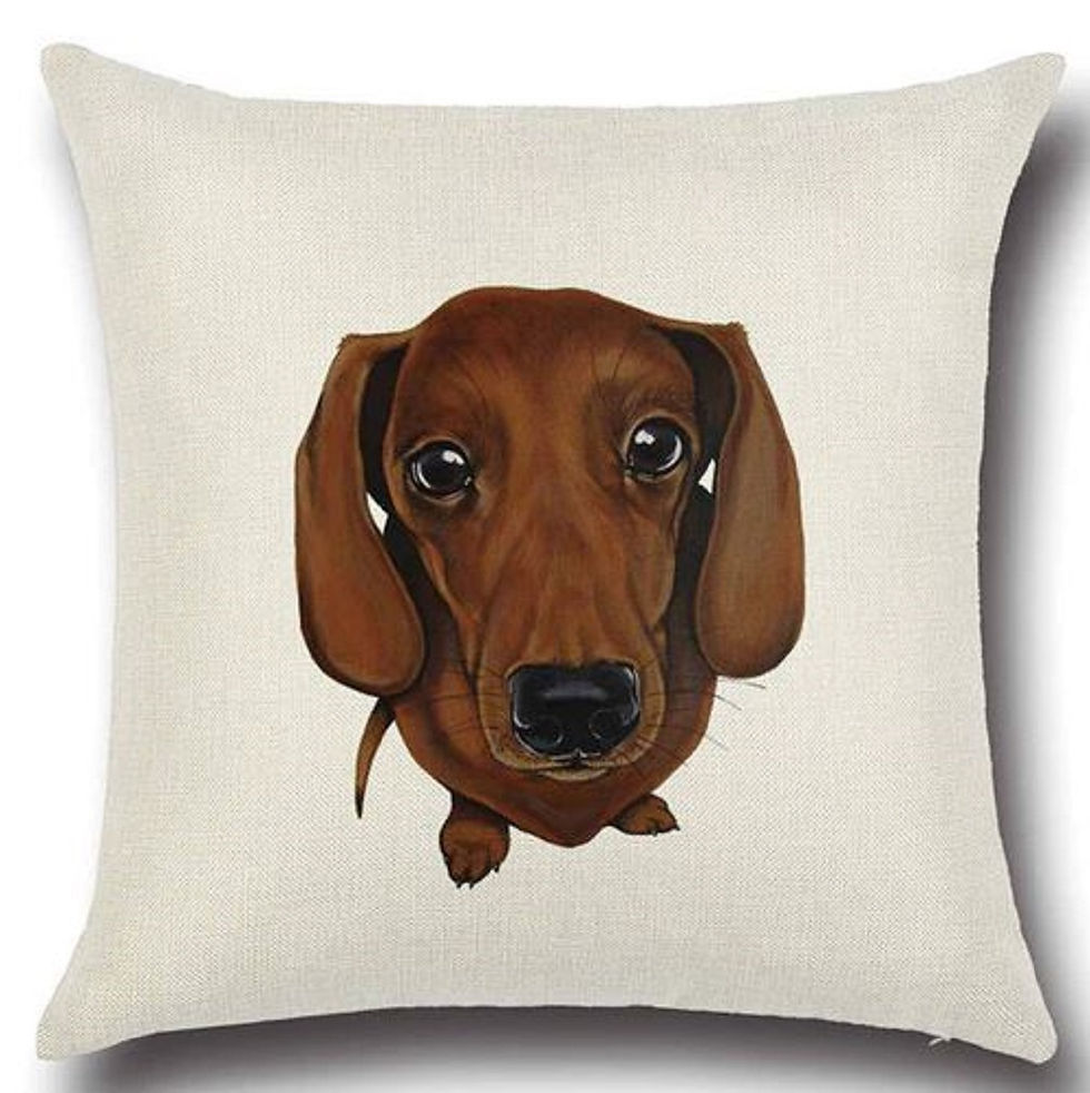 Image of Dachshund Dog Cushion Cover