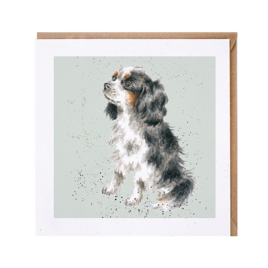 Image of Wrendale Cavalier King Charles Greetings Card