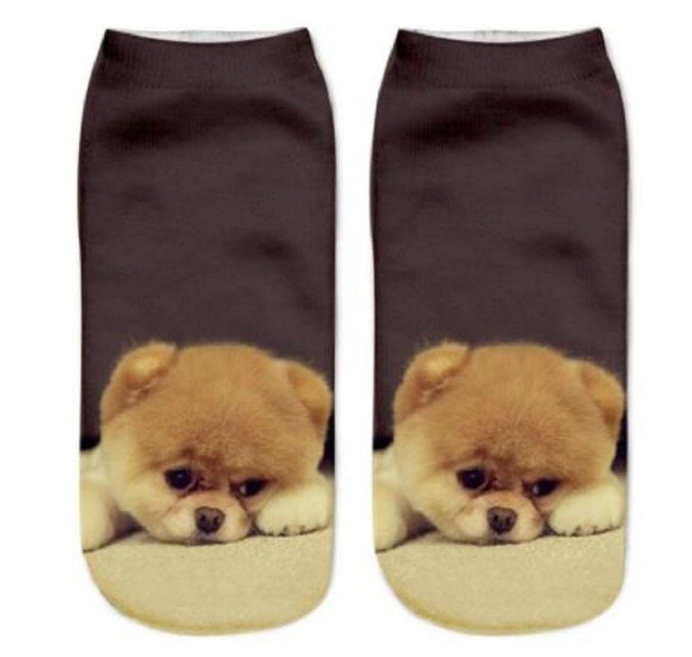 Image of Chow Chow Puppy Dog Trainer Socks