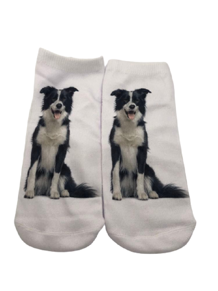 Image of Border Collie Dog Trainer Socks
