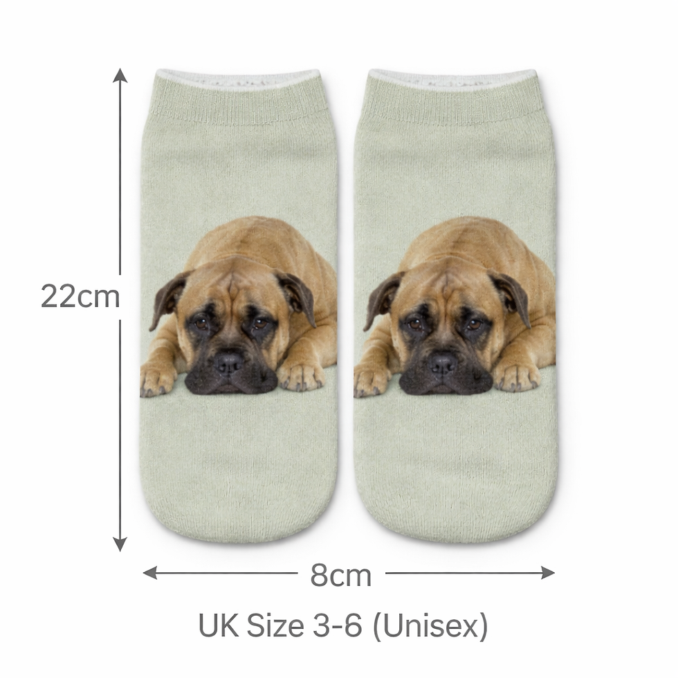Thumbnail: 22cm Chow Chow dog Trainer Socks dimensions diagram