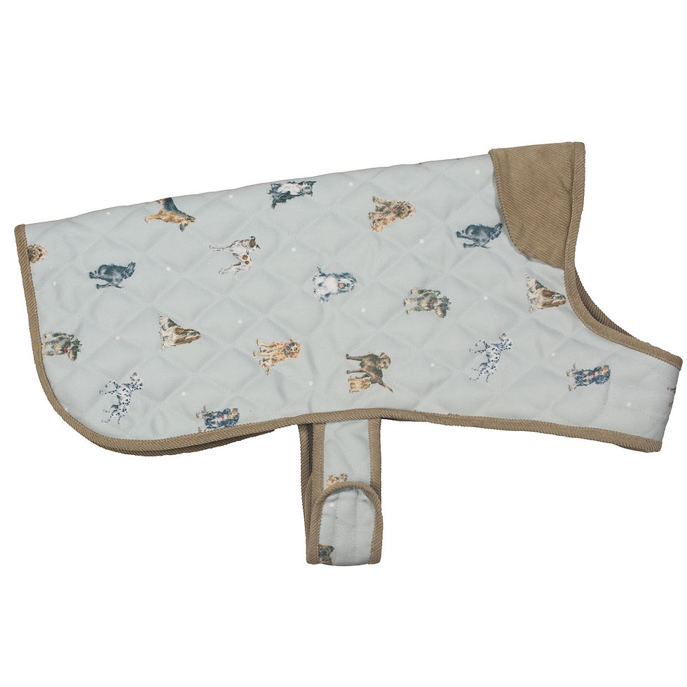 Thumbnail: Image of Wrendale Large Dog Coat