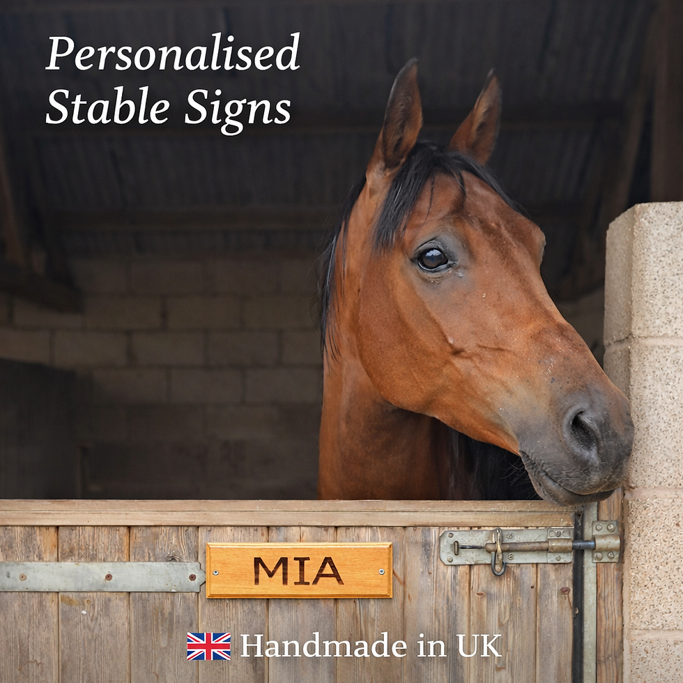 Image of Personalised Horse Stable Door Sign