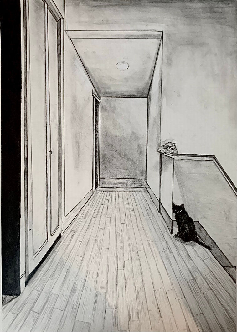 Graphite on Drawing Paper