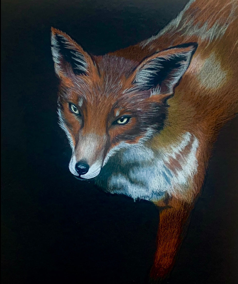 Prismacolor Pencils on Drawing Paper