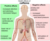 15 Links Between Caffeine and Anxiety (Study)