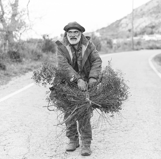 What is Wildcrafted? How do we gather our herbs?