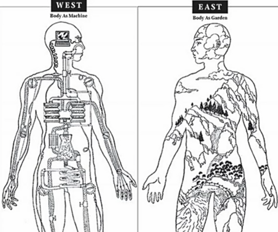 Traditional VS Western Medicine. Consider both?