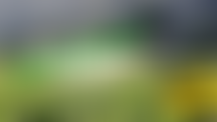 Pesticides: Hidden Ingredients in Chinese Tea