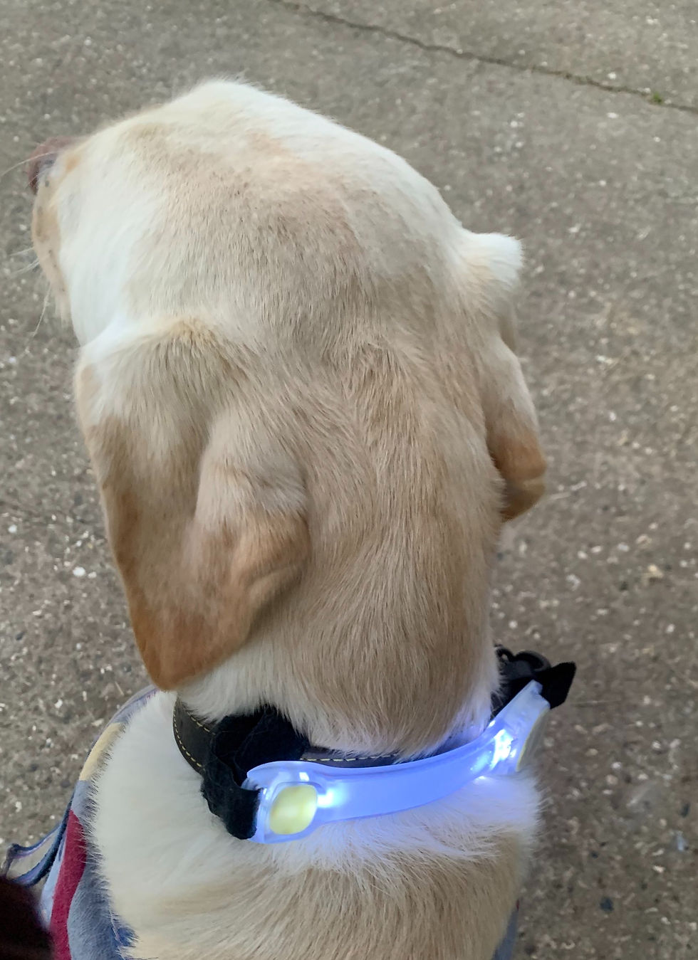 Thumbnail: Luminous safety light