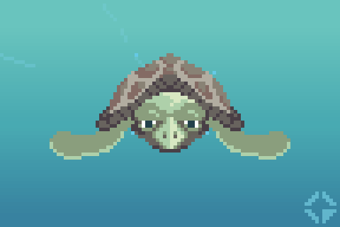 pd coral.gif