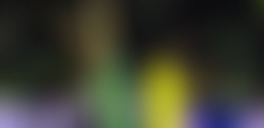 Real Madrid encerra novela e anuncia contratação de Dani CeballosCOMENTE... - Veja mais em s-noticia