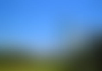 China International Arbitration Court Established in Hainan