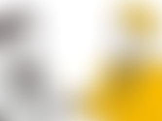 【重要】技術・人文知識・国際業務ビザ　2026年4月15日から【日本語レベル】の書類が追加になりました