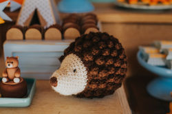 Festa Bosque Menino 1 Ano